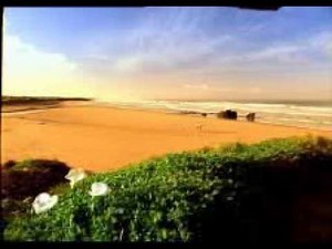 K-fee - Surf (2005, Germany) [German language version]