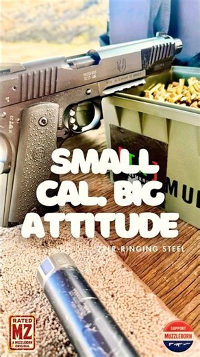 Walther-hammerli- .22lr vs Steel Target-SlowMo #shorts #muzzleborn