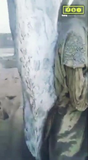 Fallen Angel Found in Russia