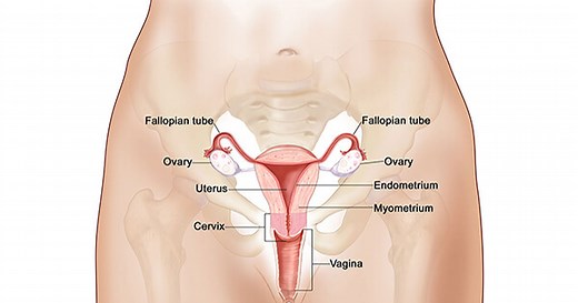 What Is Cervical Cancer?