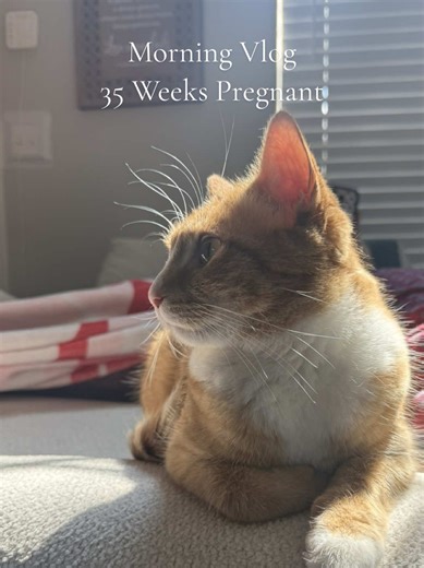 35 Weeks Pregnant Morning Vlog: Putting Baby's Things Away