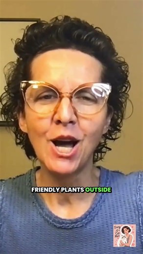 What If Your Cat Could Watch Nature Instead? 🐾