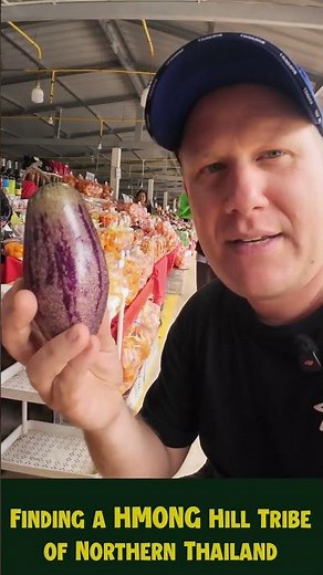 Hmong Hill Tribe of Northern Thailand