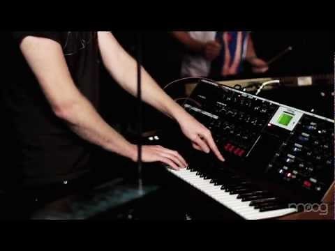 Little Dragon | Little Man | Moog Sound Lab