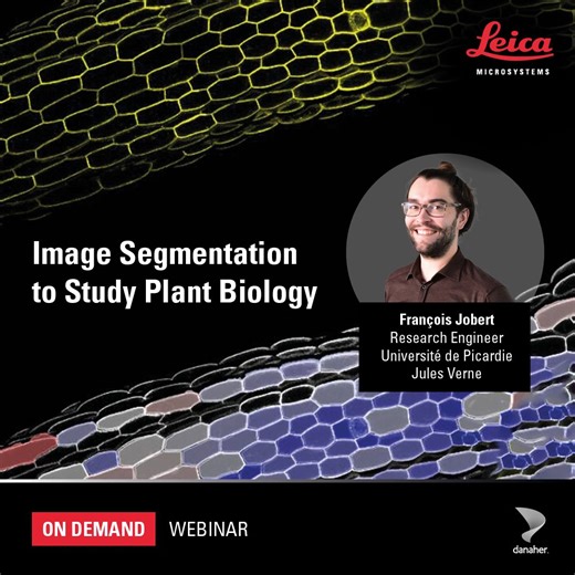 Image Segmentation to Study Plant Biology | On-Demand Webinar | Leica Microsystems