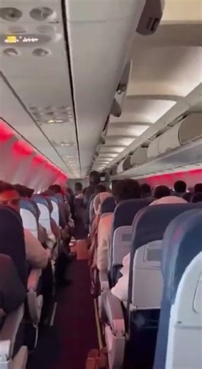 world's most amazing videos