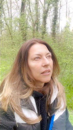 Revenire blanda dupa sarbatori: program de silvoterapie #naturaserrena #silvoterapie #foresttherapy