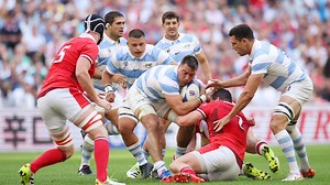 Argentina seals RWC semi final spot after 29-17 victory over Wales