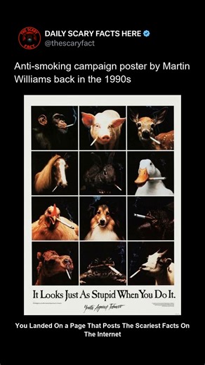 Thescaryfact ™ on Instagram: "This haunting 1990s anti-smoking poster by artist Martin Williams used stark visuals to shock smokers into quitting. Its grim imagery and direct messaging became a symbol of the decade’s aggressive public health campaigns. Designed to make people confront the real cost of addiction, it remains one of the most striking anti-smoking ads ever created. 🔴 Follow @thescaryfact for more powerful visuals with chilling real-world messages."