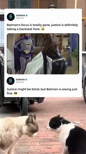 Batman's 1966 Secret 😂