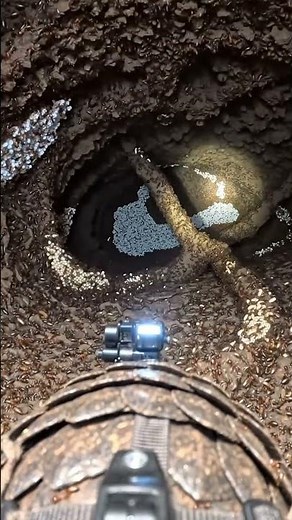 POV: You’re a Pangolin Exploring a Massive Underground Termite City