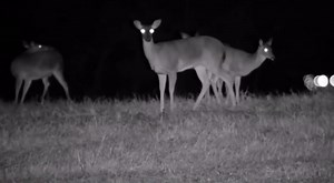 Upgrade 4K Night Vision Binoculars in Full Darkness with 32G Photo & Video 5x6 High Magnification Ultra HD Night Vision Goggles for Adults IR Monocular Binocular