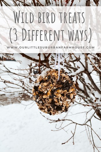 How to make treats for wild birds (made 3 different ways) - Our Little Suburban Farmhouse