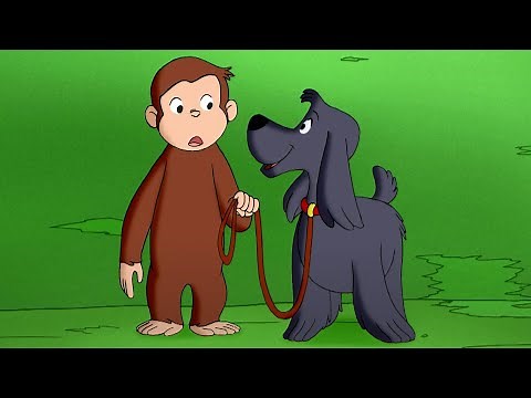 Perro entrenado | Jorge El Curioso En Español