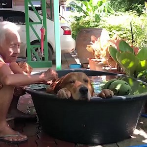 Loving granny is giving her little boy a refreshing bath in a big bath tub 😍🥰 | MetDaan