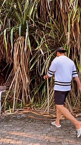 Virender Singh on Reels