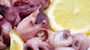 Octopus macro view. Tentacles with succers. Smooth motion.