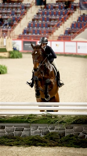 Talent rewarded with a win! 🏆 Olivia Sweetnam and Efendi are named champion of the 2025 Dover Saddlery/USEF Hunter Seat Medal Final. Dover Saddlery | #USEquestrian | US Equestrian