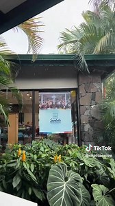 St Lucia and all her Splendor and Glory | Sweet St.lucia