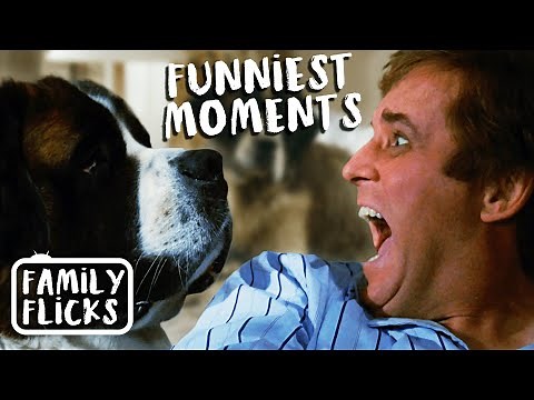 The Funniest Moments from Beethoven (1992) | Family Flicks
