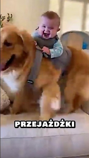 The fastest way to get around the house. This baby's choice is obvious! 🏎️💨