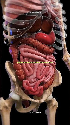 How Much Nutrients Your Body Needs Every Day & How to Get it!