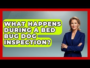 What Happens During A Bed Bug Dog Inspection? - Insects and Invaders