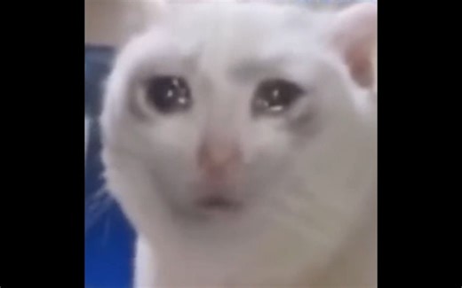 笑了真的会下地狱的meme合集15