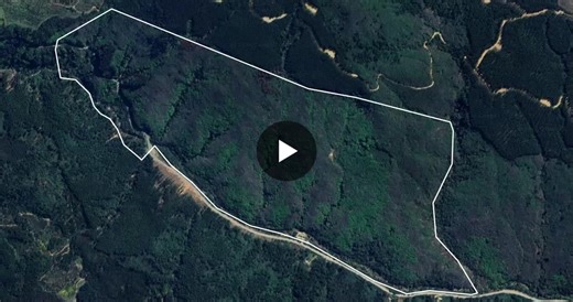 #deeplearning #geospatialai #i #biodiversidad | Gerardo Salazar