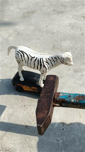 Rc zebra vs black car toy testing