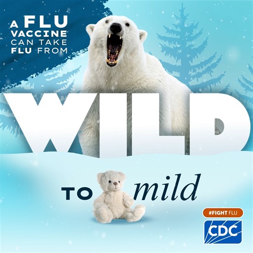 Flu season is here, and it can be as frightful as the weather — but there’s still time to get vaccinated to tame flu’s worst symptoms if you do get sick. If you are pregnant, a flu shot has the added benefit of also protecting your baby from flu for their first months after birth. Talk to your doctor about a flu shot during pregnancy and learn more at https://bit.ly/3ACUG0Z | CDC