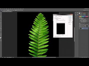 Creating Opacity Maps for Foliage