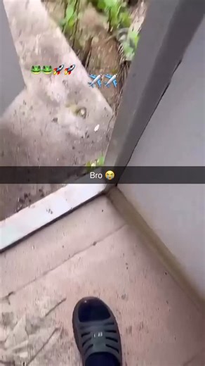 Memes on Instagram: "One second the frog is doing frog things: a lazy sun-bask, a thigh-snap fly-catching routine. Then a rubbery boink — the flip-flop’s strap tenses like a slingshot. Time does that cartoon slow-down: toes curl, toes uncurl, the sole bends, and the frog is suddenly a warm green pebble on elastic. There’s a pop, a brief ballet of limbs, and the world peels away. Earth stretches into a patchwork quilt — lawn, mailbox, the neighbor’s sad gnome — and then it’s a blue marble. The fr