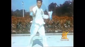 10K views · 375 reactions | Rare footage of Wushu | World of Wushu | Facebook