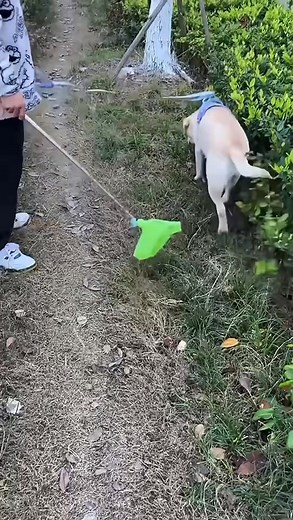 藍 “Can’t believe I ever picked up poop by hand before this!” This...