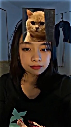 cat meme face 🤓 #shorts #cats #catvideos #cats