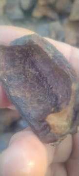 Bog Iron or Limonite found on my property in West Tennessee