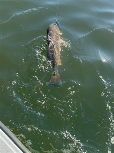 G. Kevin Baker on Reels