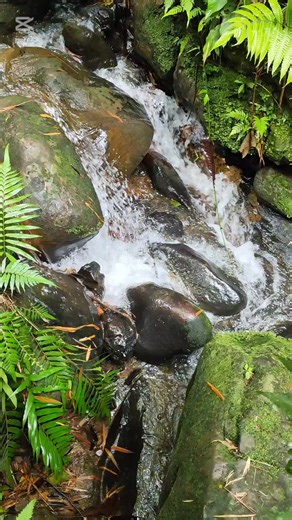 4K views · 146 reactions | Las quebradas representan generaciones naturales que enriquecen nuestro paisaje. #agua#naturaleza#Todos | Javi Fotos | Facebook