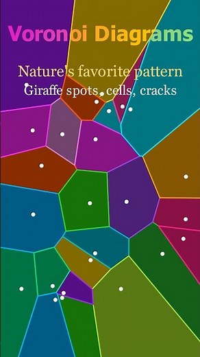 How Nature Organizes Itself: Voronoi Diagrams 🦒