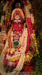 🌸🌿🔱 AMMAN SONG 🔱🌿🌸 | Amman Songs Official