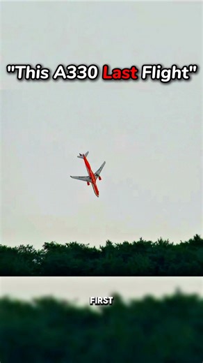 Big RC Plane Brutally Crash During Median Flight 💔 #planecrash #fatalcrash #aviation #rcplanecrash