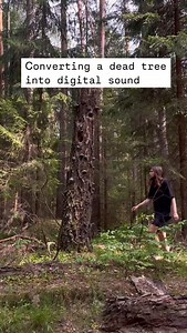 174 reactions · 6 comments | repost @digital_moss Сonverting a dead tree into digital sound using @touchdesigner #touchdesigner #audiovisual #pointclouds | TouchDesigner | Facebook