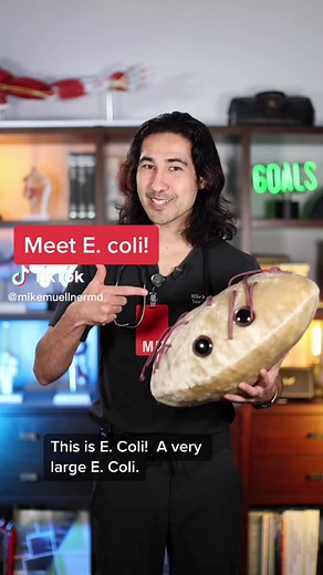 Understanding E. coli Bacteria and Its Impact on Gut Health