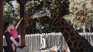 1.2K views · 35 reactions | Attention Party Animals! 漣 You can celebrate your child’s birthday at one of our five wonderful locations within the zoo! Birthday packages include one and a half hours in the party space, 20 guest admissions, 10 carousel tickets, table coloring and staff assistance! Follow the link to learn more and book your event. - https://www.saczoo.org/visit/plan-your-event/birthday-parties/ #SacramentoZoo | Sacramento Zoo | Facebook