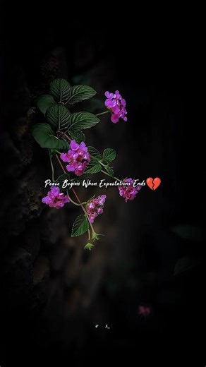 Wishes🍀 Hoke Tetho Duur Main ✨ Talwinder 🥀 4K Asthetic Lyrics Video 🥀#love #asthetic