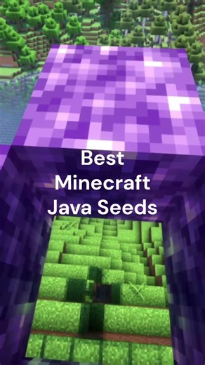 Best Minecraft Java Seeds ahhh video