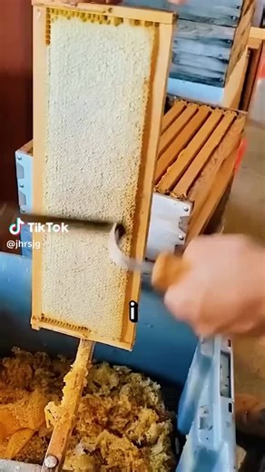 backdraft (@backdraft4924)’s videos with original sound - backdraft