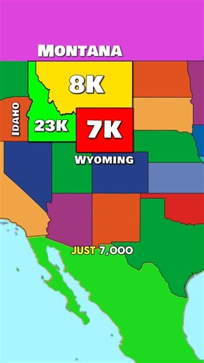 Lowest Black population US States #maps