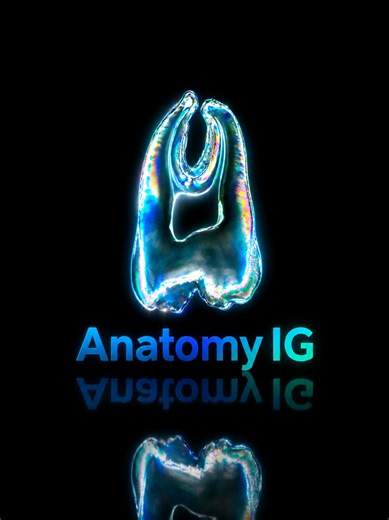 Dental Prosthetics CAD/CAM Workflow — Odontologia Protesedentaria